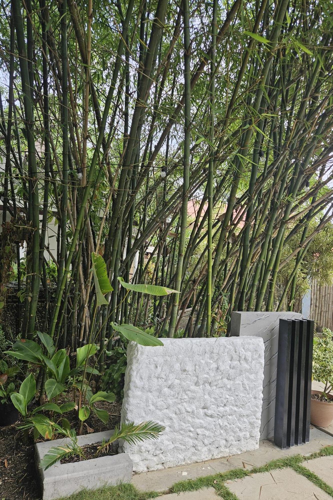 Oceanside 2 Bedroom House, 100Mbps Wifi 팡라오 외부 사진