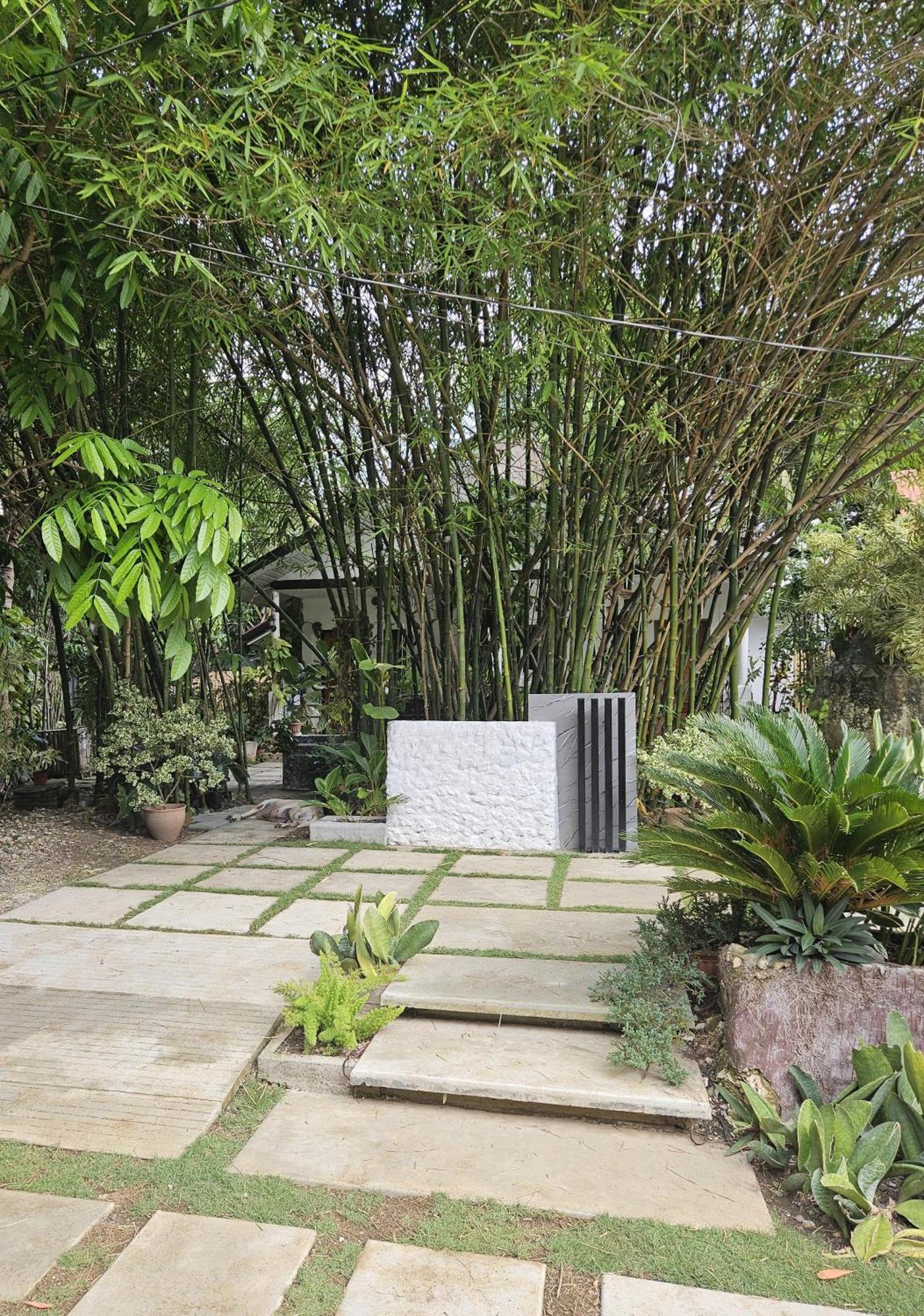Oceanside 2 Bedroom House, 100Mbps Wifi 팡라오 외부 사진